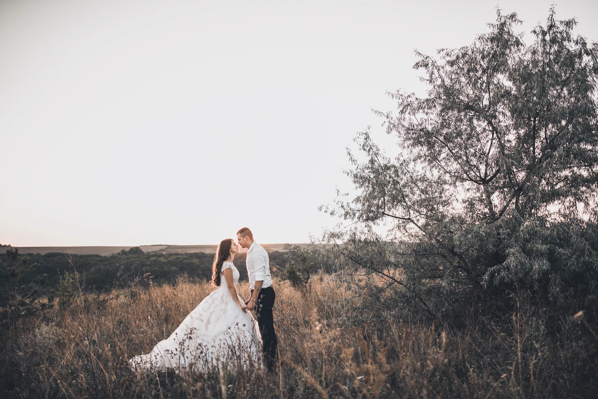 Bride and groom standing close together in a grassy field at sunset, sharing an intimate moment beside a tree in a natural outdoor setting.