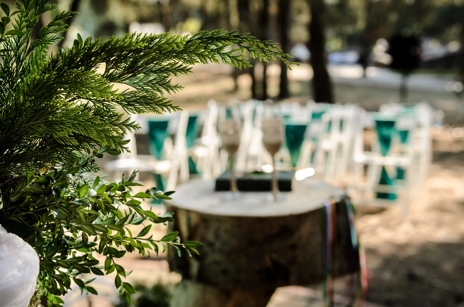 Close-up of green foliage in the foreground with a softly blurred outdoor wedding setup behind, featuring white chairs and a rustic table with glassware in a woodland setting.